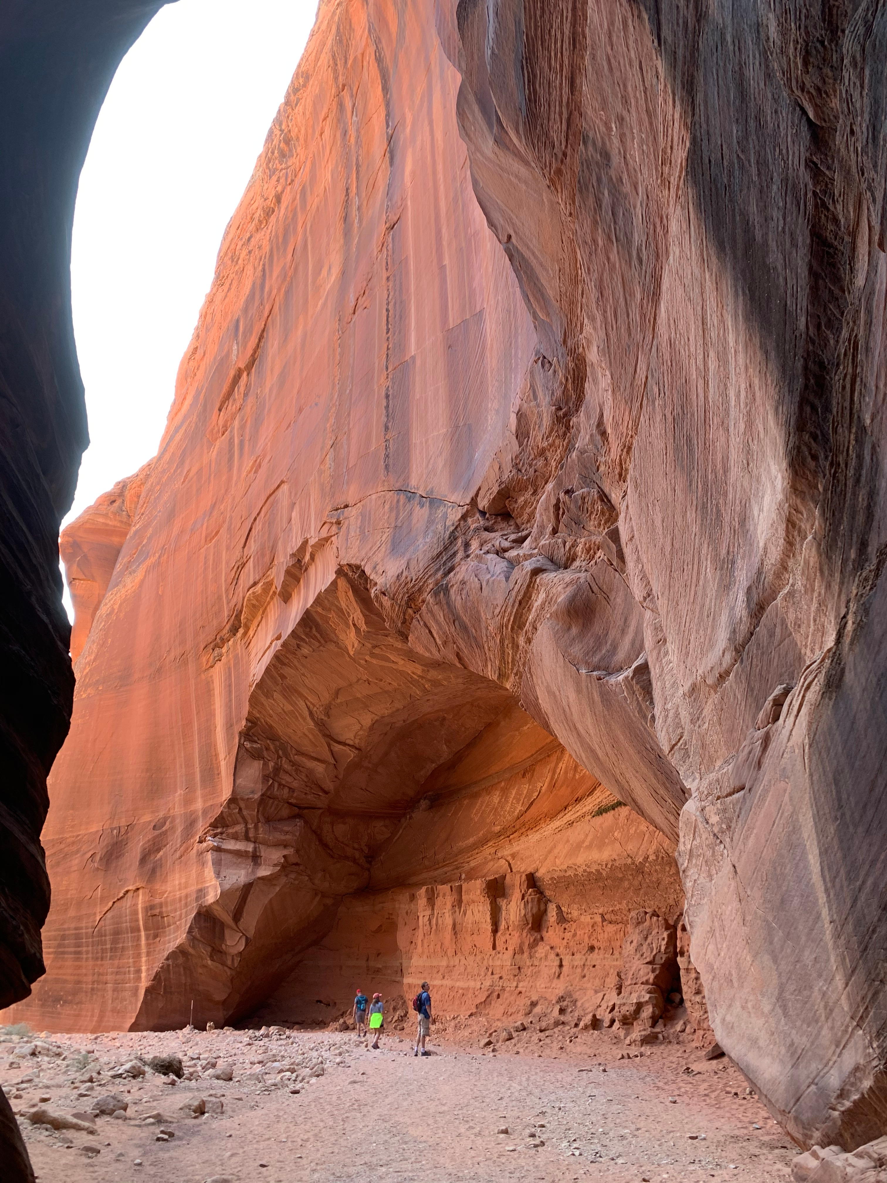 Vermillion Cliffs NM